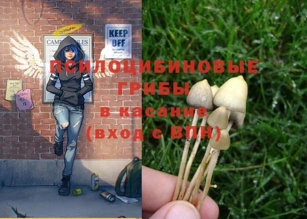 2c-b Вяземский