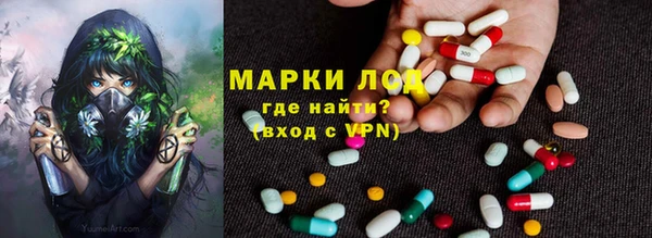 СК Волоколамск