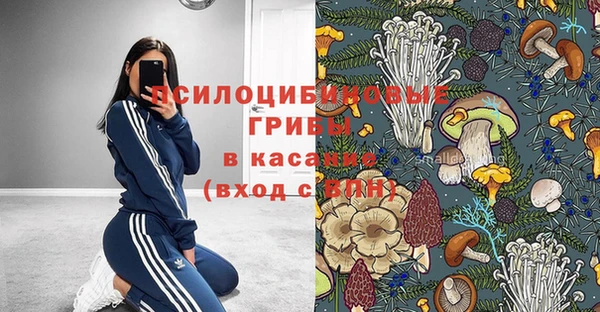 СК Волоколамск