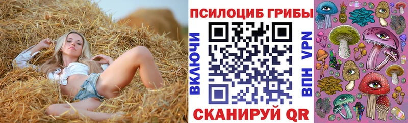 Галлюциногенные грибы GOLDEN TEACHER  Купить  Удачный 