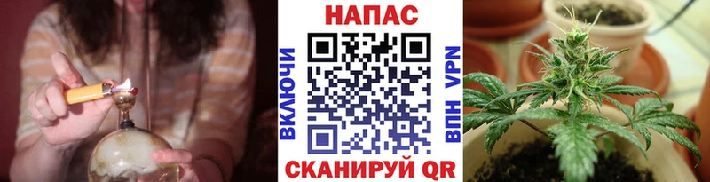 Шишки марихуана сатива  Купить  Удачный 